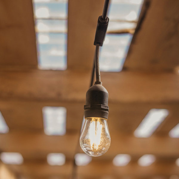 Classic Festoon Lights - Black - 8m
